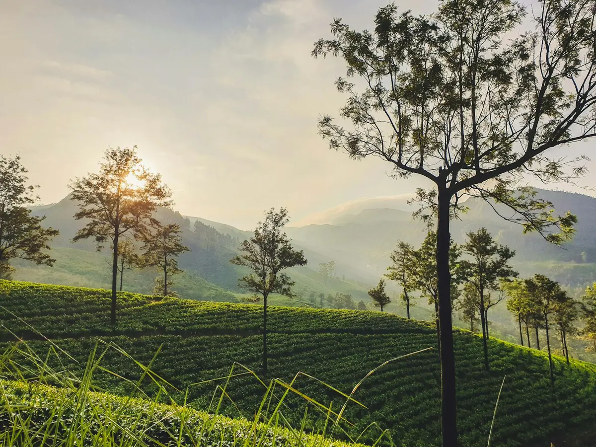 Nuwara Eliya, Sri Lanka