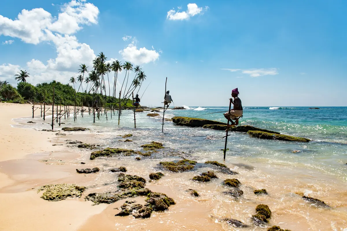 Stilt fishermen on a Sri Lankan beach fringed with palm trees
